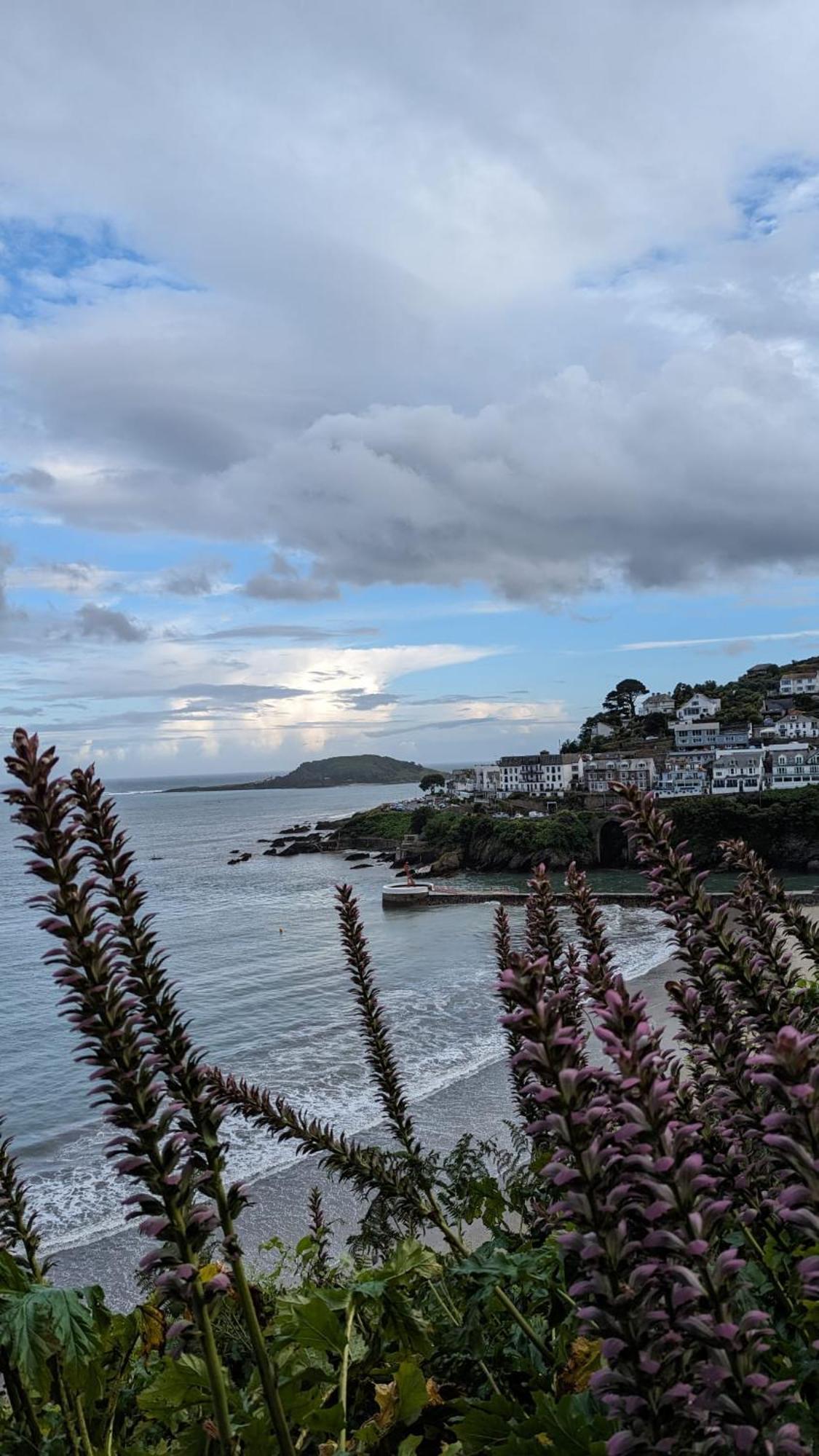 The Hillocks, Looe - Two Bedroom House With Fabulous Views Of Looe Town And Harbour Eksteriør billede